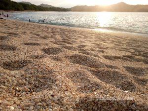 Playa Conchal Guanacaste