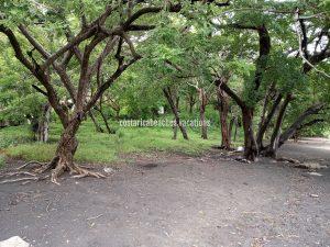 Playa Ocotal