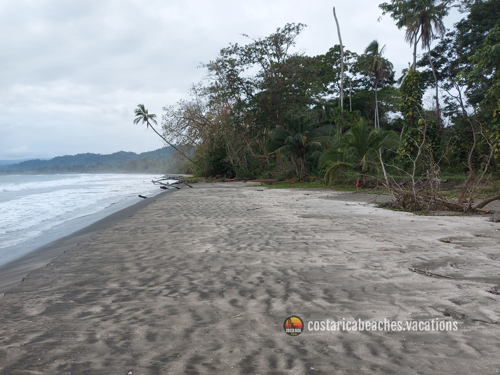 Puerto Vargas Parque Cahuita
